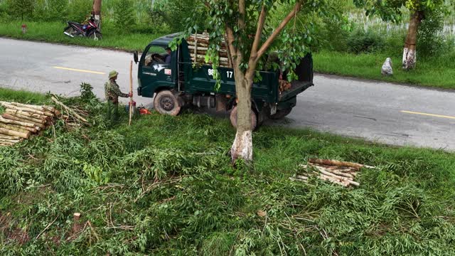 Worker Beside Loaded Timber Truck