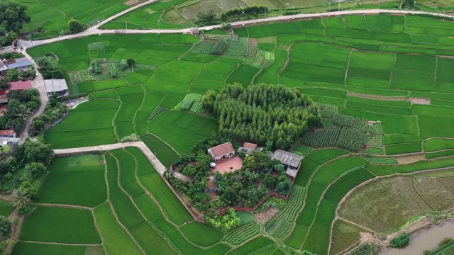 Farmhouse Among Rice Fields