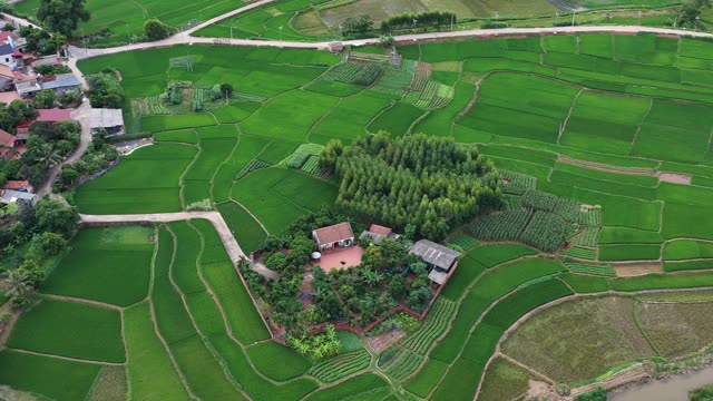 Lone House In Green Paddies