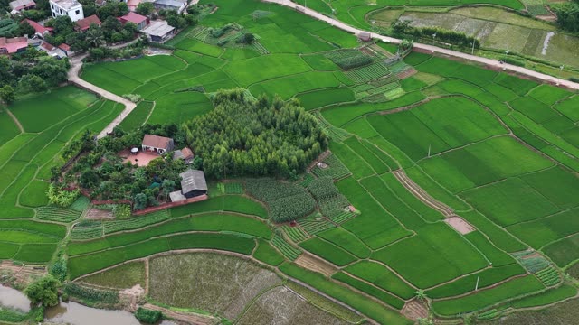 Countryside Farm Plots