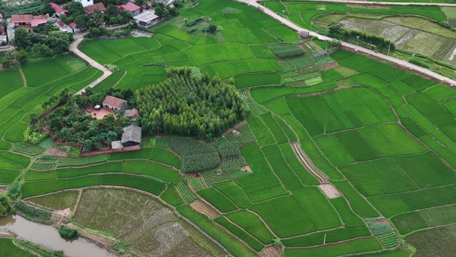 Village Amid Rice Fields