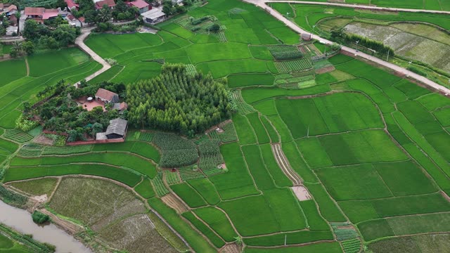 Terraced Fields And Homestead