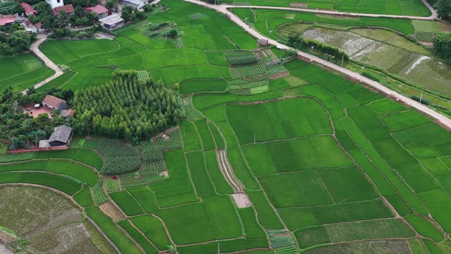 Rice Valley And Village