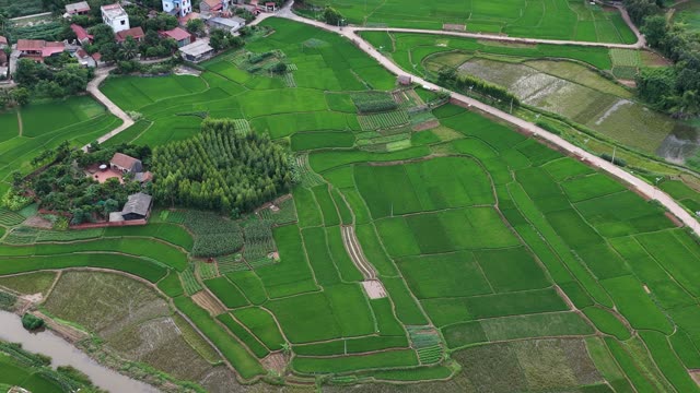 Countryside Stream And Paddies