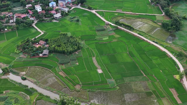 River Bend Through Rice Fields
