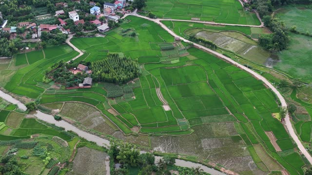 Fertile Rice Valley