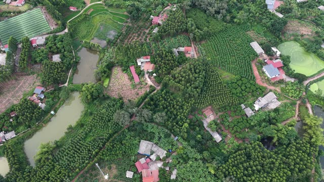Rural Hills With Fish Ponds