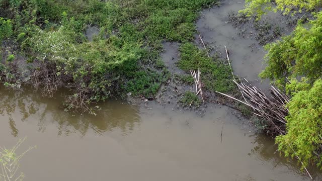 Wetland Riverbank From Above