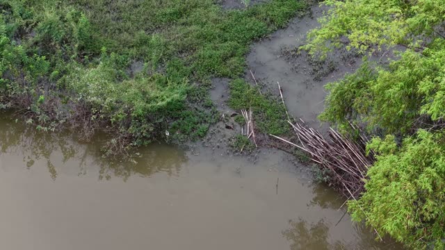 Green Wetland And Mudflat