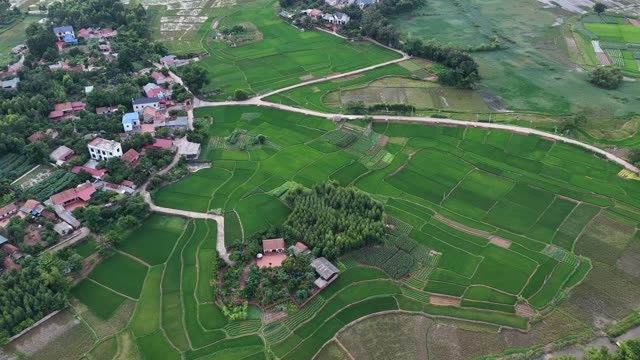 River Between Green Banks
