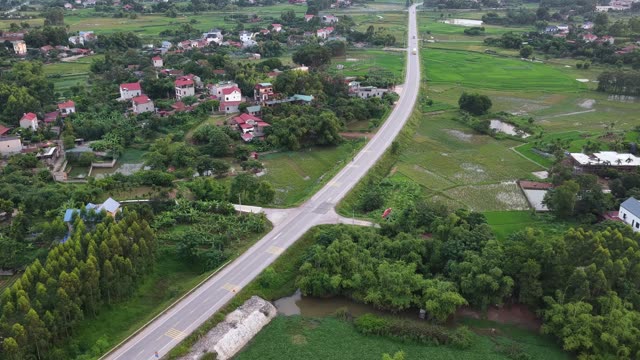 Village Road And Rice Fields
