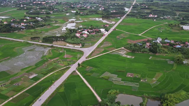Rice Fields And Village Road