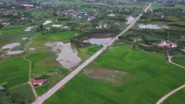 Roads Across The Rice Plain
