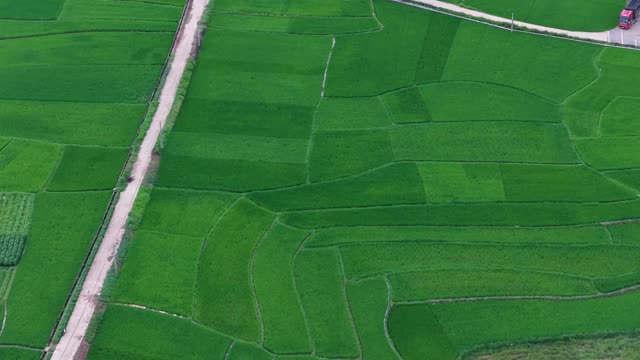 Rural Road And Green Fields