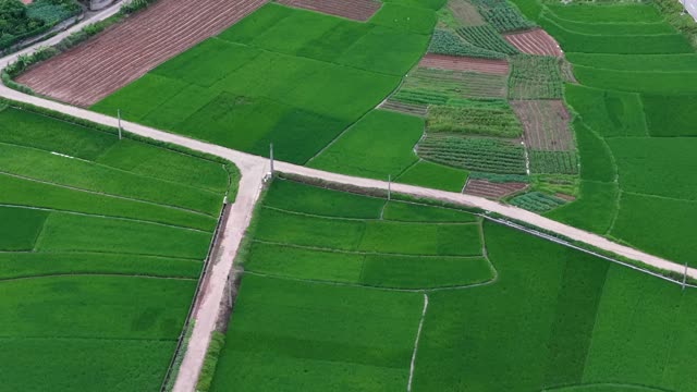 Village Fields And Ponds
