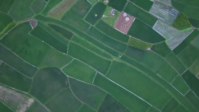 Village Rooftops From Above