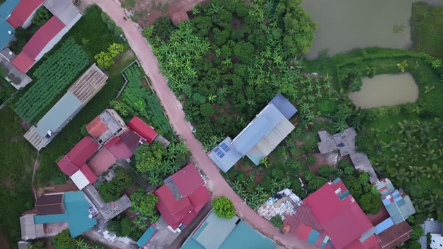Rooftops And Garden Plots
