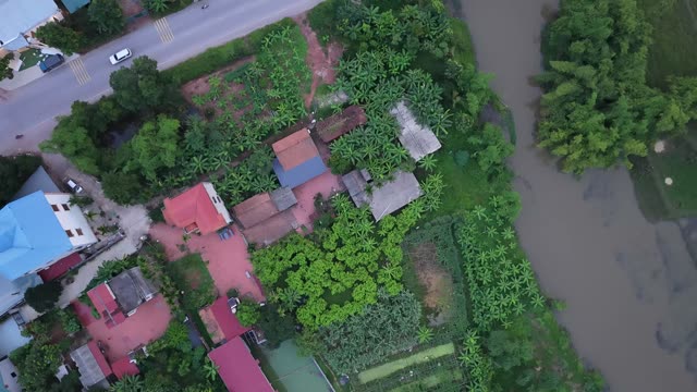 Farm Plots And A Pond