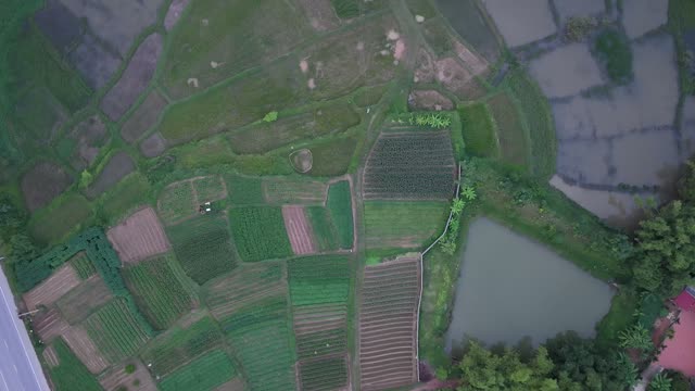 Road And Vegetable Terraces