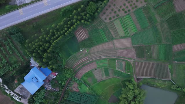 Fields And Ponds At Dusk