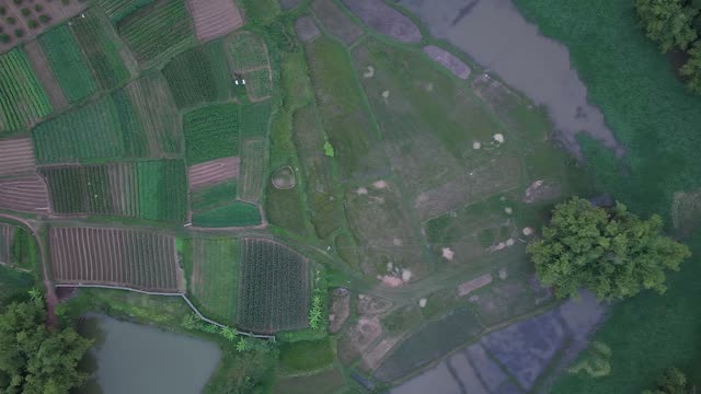 Twilight Over Farm Fields