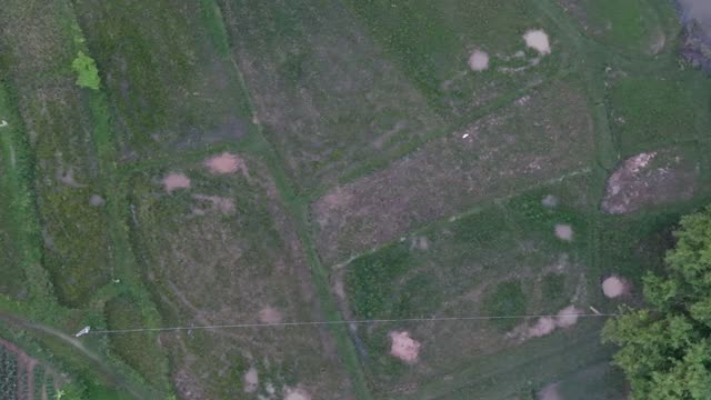 Vegetable Field Patchwork