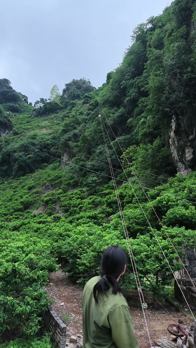Woman Watching Mountain Cable Line
