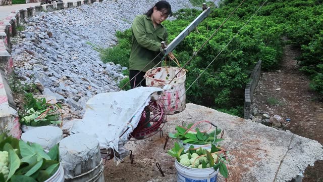 Woman Handling Fruit Basket On Pulley