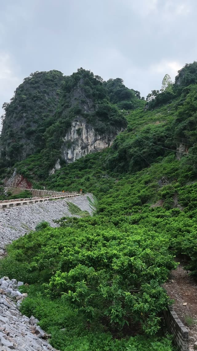 Limestone Peaks Above Riprap Road