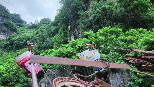 Woman Sorting Green Leaves Roadside