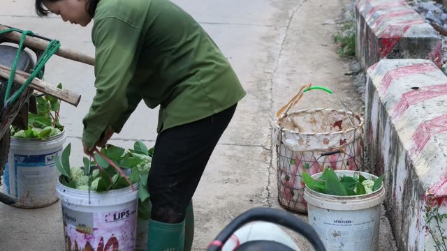 Farmers Loading Motorbike With Baskets