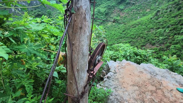 Weathered Pole With Cable Pulley