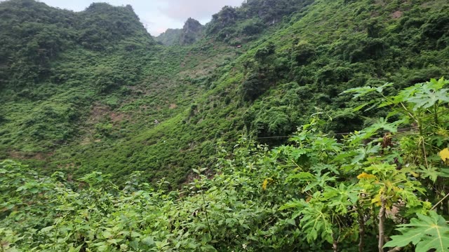 Mountain Valley With Sparse Vegetation