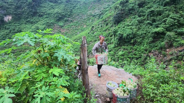 Woman Carrying Basket Down Rocky Trail