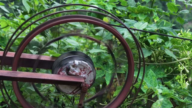Rusty Pulley Wheel Among Green Leaves