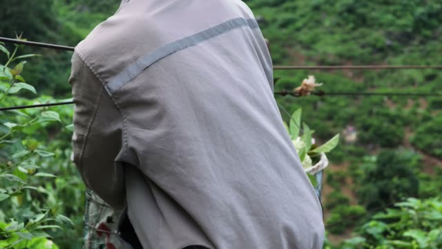 Farmer Carrying Basket On Cable Line