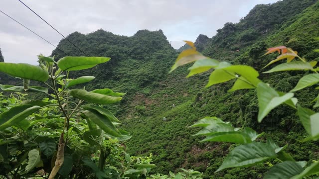 Green Peaks Rising From Valley