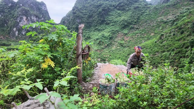 Woman Sorting Produce At Cliff Edge
