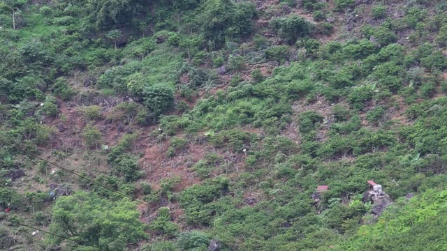 Layered Green Mountain Slope