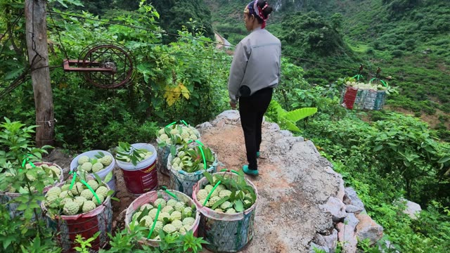 Woman Walking Cliff Edge Path