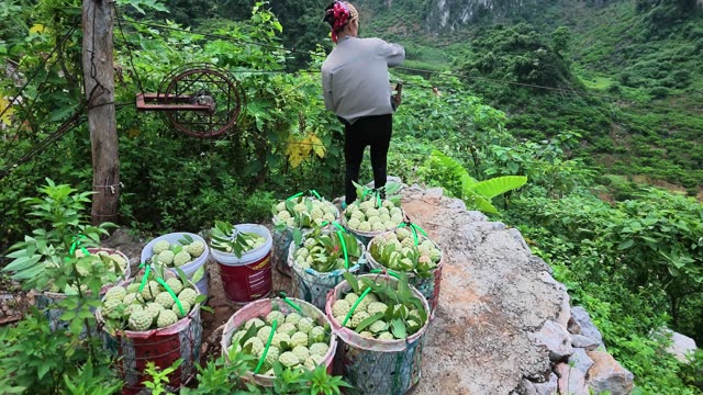Woman Standing Among Fruit Buckets