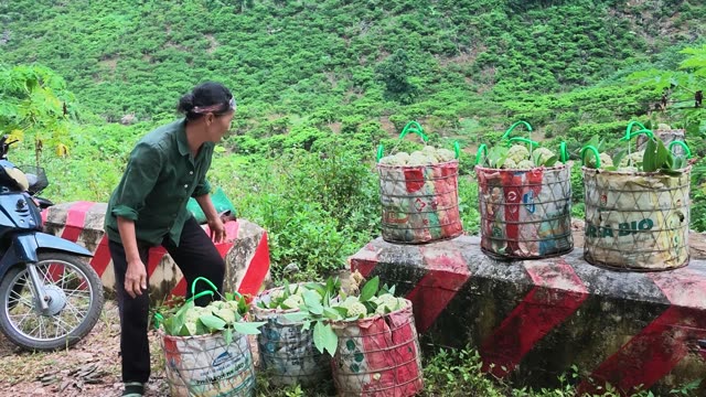 Woman Sorting Baskets By Roadside