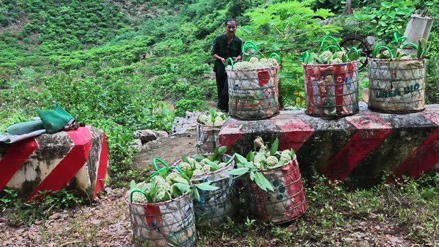 Woman Among Fruit Baskets On Barrier