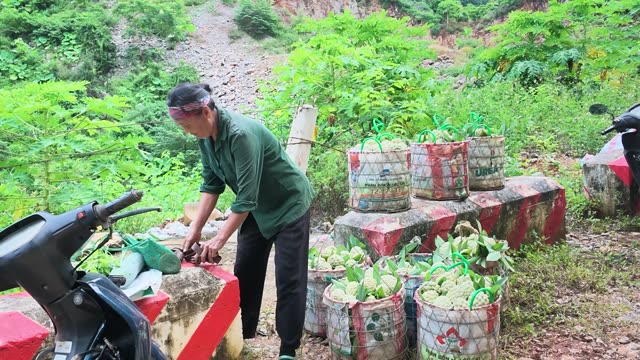 Woman Tying Bag On Roadside Barrier
