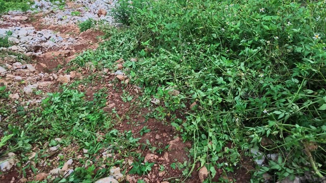 Dirt Trail Between Rocky Slopes