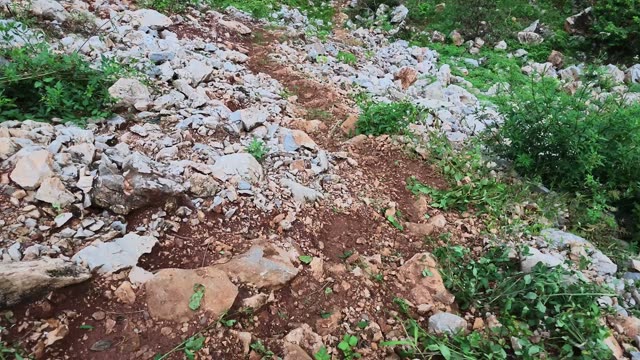 Rocky Path Through Mountain Scrub