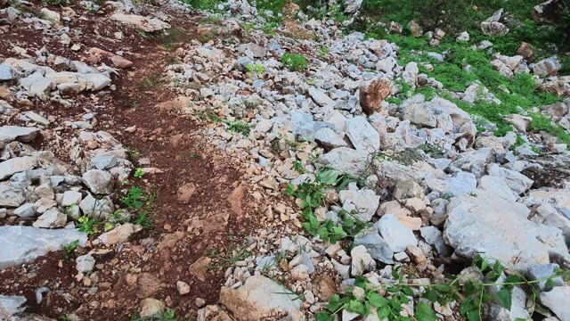 Stone Strewn Mountain Trail