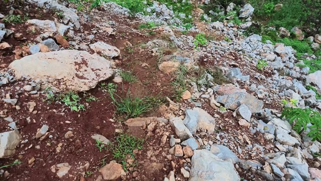 Winding Trail Among Limestone Rocks