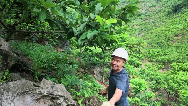 Man Waving From Mountain Orchard