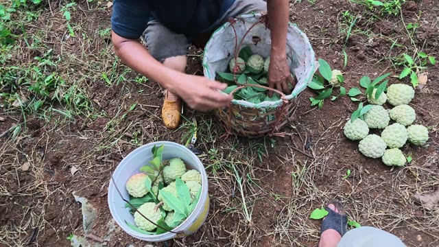 Man Handling Basket Among Buckets